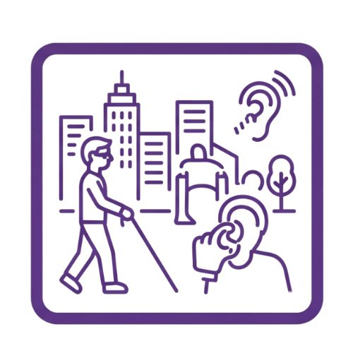 Disability Inclusion